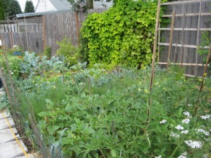 Main Bed in July