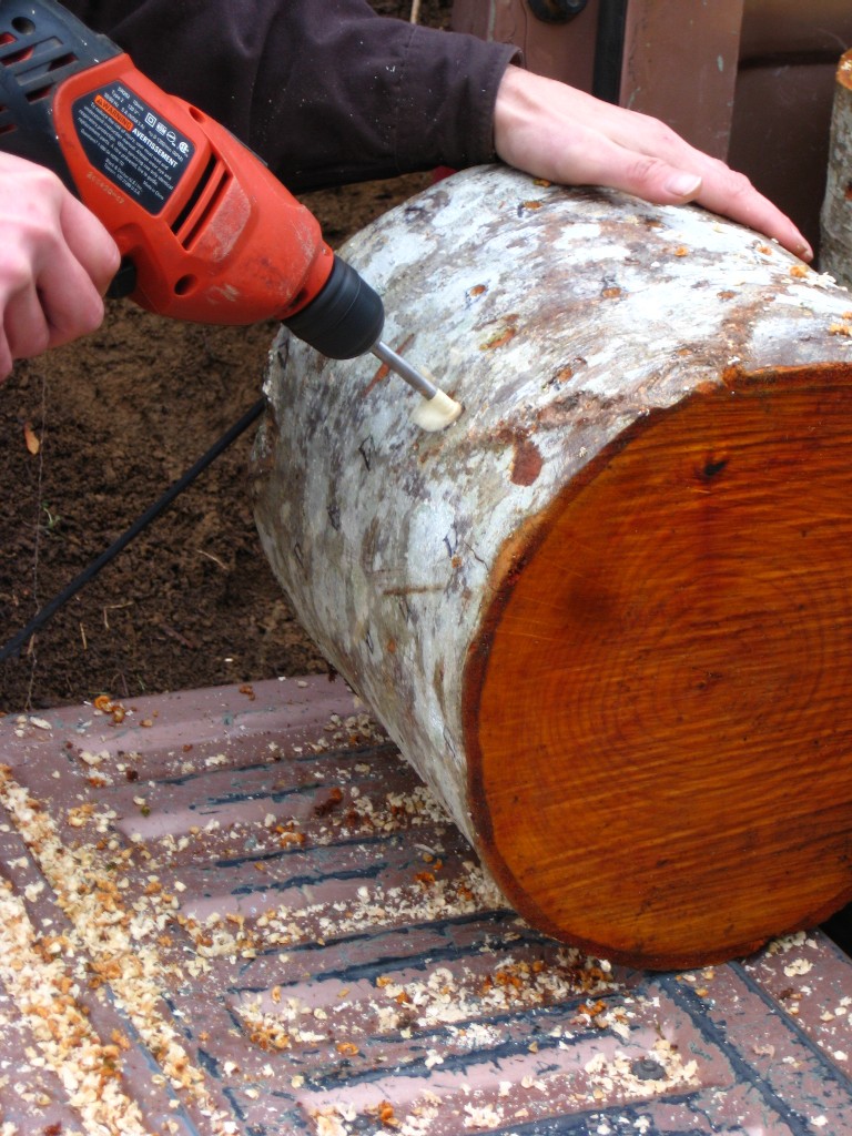 drilling