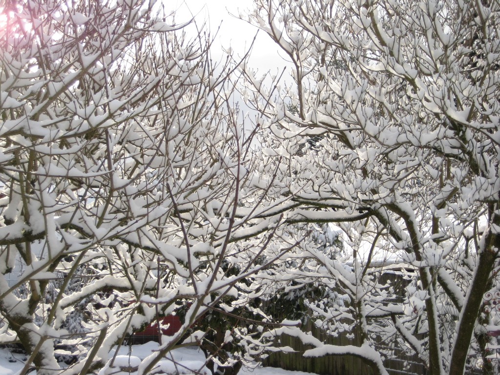 trees