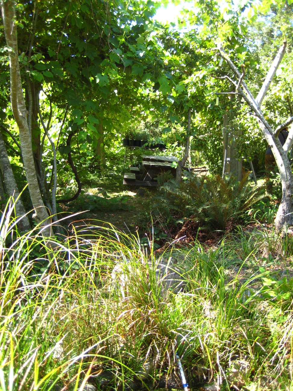 shelter